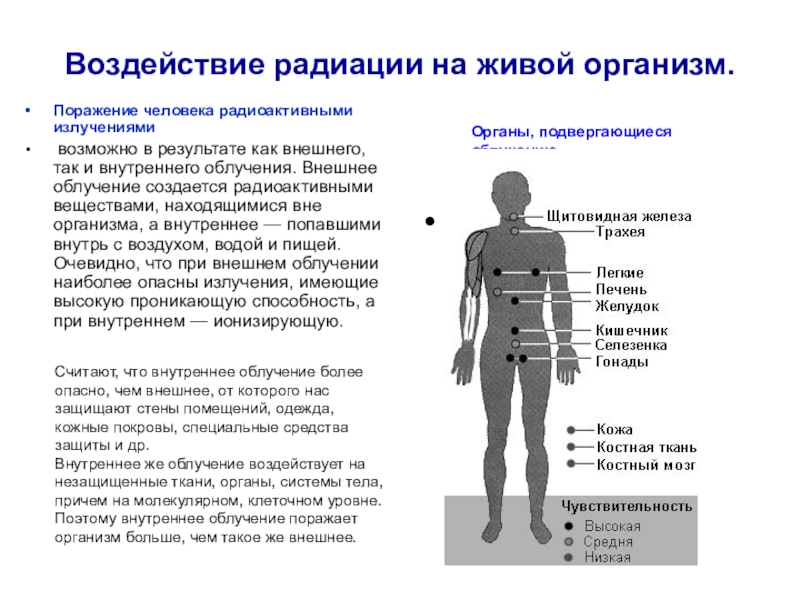 Воздействие радиации на живое