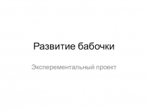 Экспериментальный проект Развитие бабочки