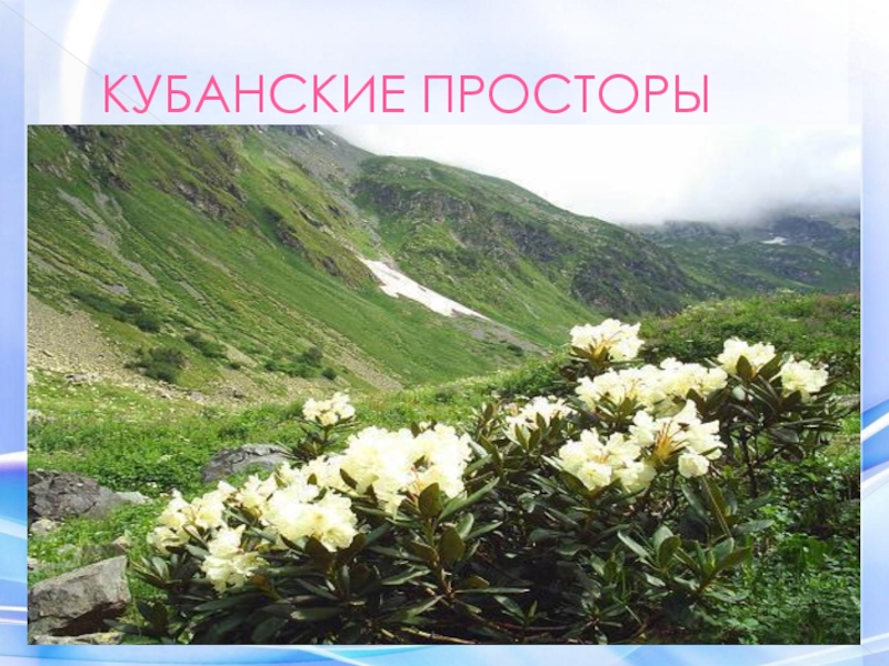 Кубановедение 3 класс краснодарский край. Красота окружающего мира Кубани. Проект красота Краснодарского края. Красота окружающего мира кубановедение. Красоты Краснодарского края презентация.