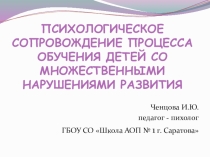 Психологическое сопровождение процесса обучения детей с ТМНР