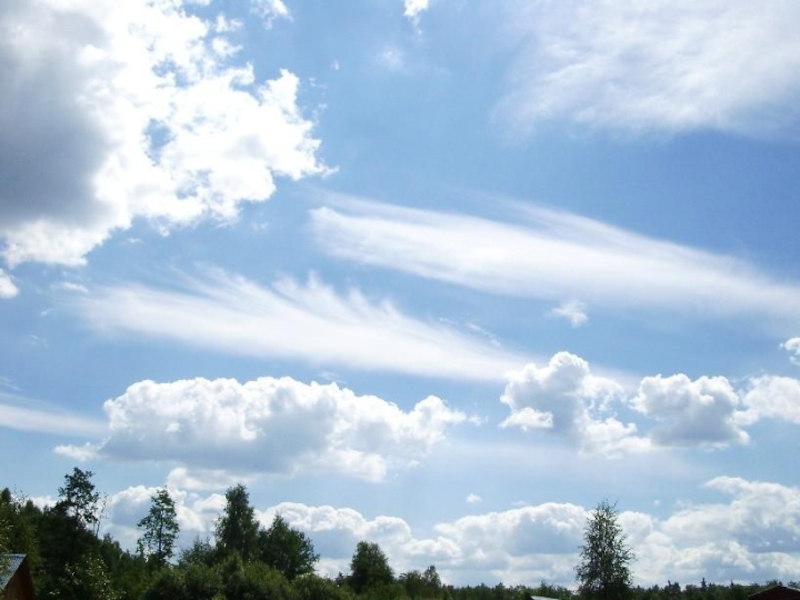 Кучевые облака над Петербургом. Слоисто Кучевые над городом. Слоисто дождевые облака фото. 12 Облаков. Над рекой плывут облака