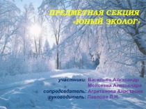 Презентация по теме: Юные экологи