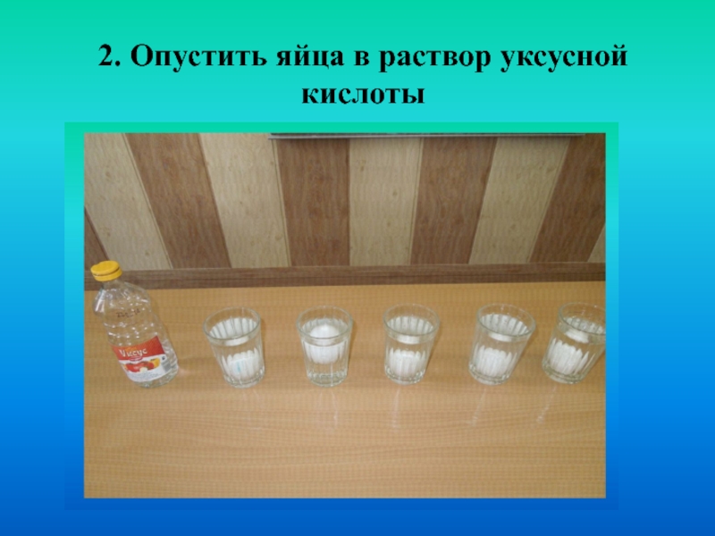 Система 6 банок. Яйцо в растворе уксусной кислоты. Обработка яйца уксусным раствором. Яйца в растворе. Уксусный раствор для обработки яиц для инкубации.