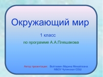 Презентация по окружающему миру на тему Кто такие рыбы? (1 класс)