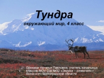 Презентация по окружающему миру на тему Тундра (4 класс)