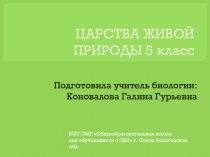 Презентация Царства живой природы