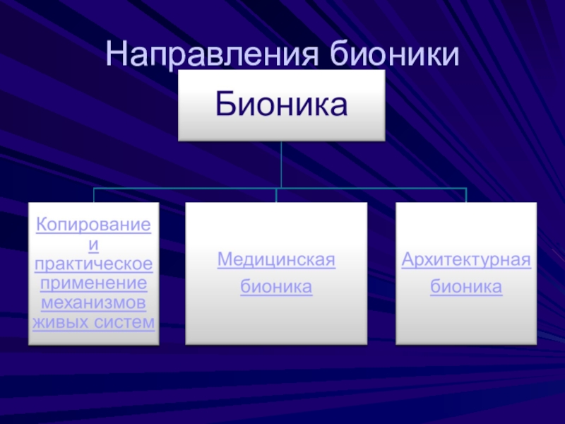 Бионика презентация по биологии 11 класс