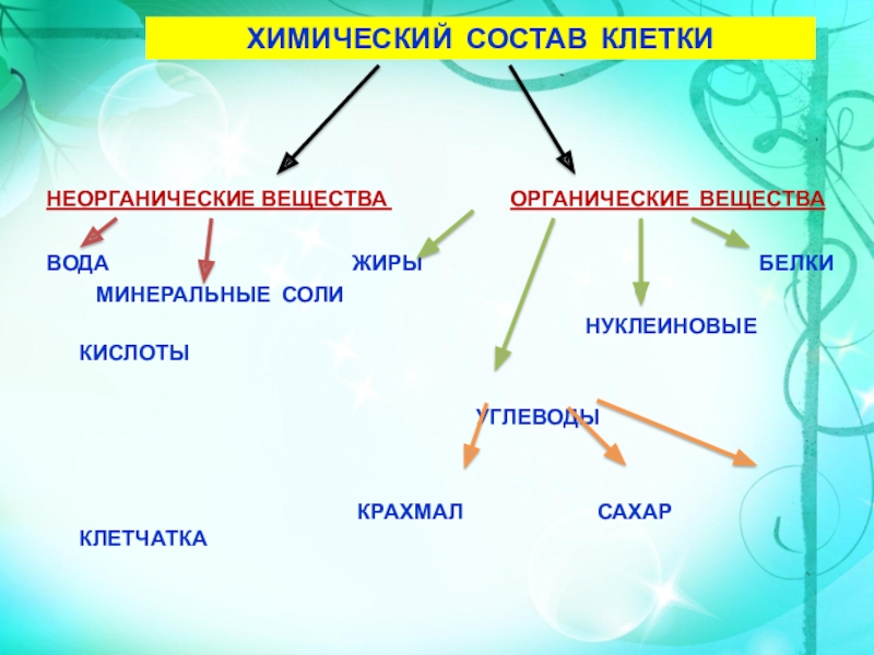 Хим состав клетки