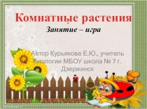 Игра Комнатные растения (биология 6 класс)