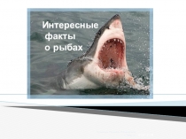 Интересные факты о рыбах