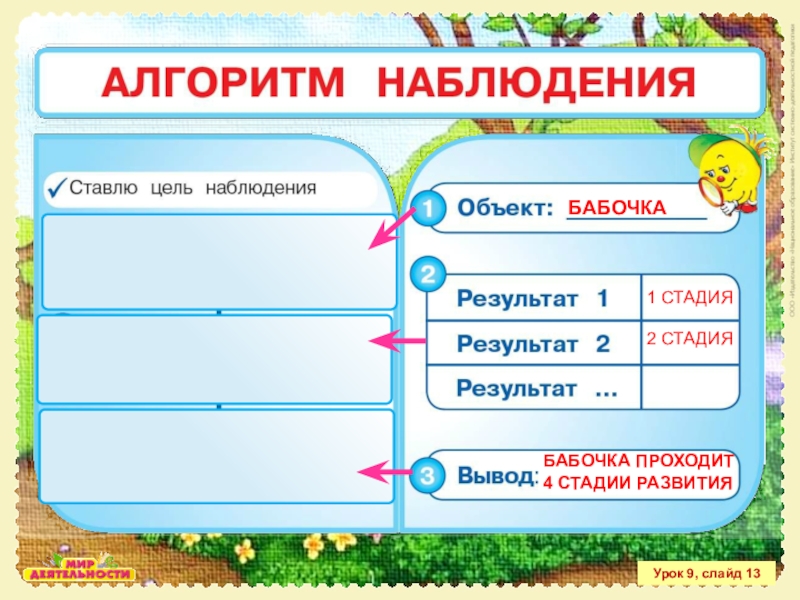 Алгоритм наблюдения. Алгоритм наблюдения за растением. Алгоритм наблюдения за животным. Алгоритм наблюдения для детей.