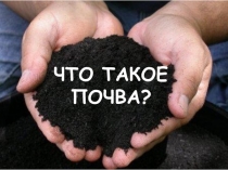 Презентация по окружающему миру Что такое почва?