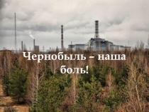 Презентация внеклассного мероприятия, посвященного 31-ой годовщине аварии на Чернобыльской АЭС.