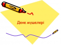 Презентация по казахскому языку Дене мүшелері
