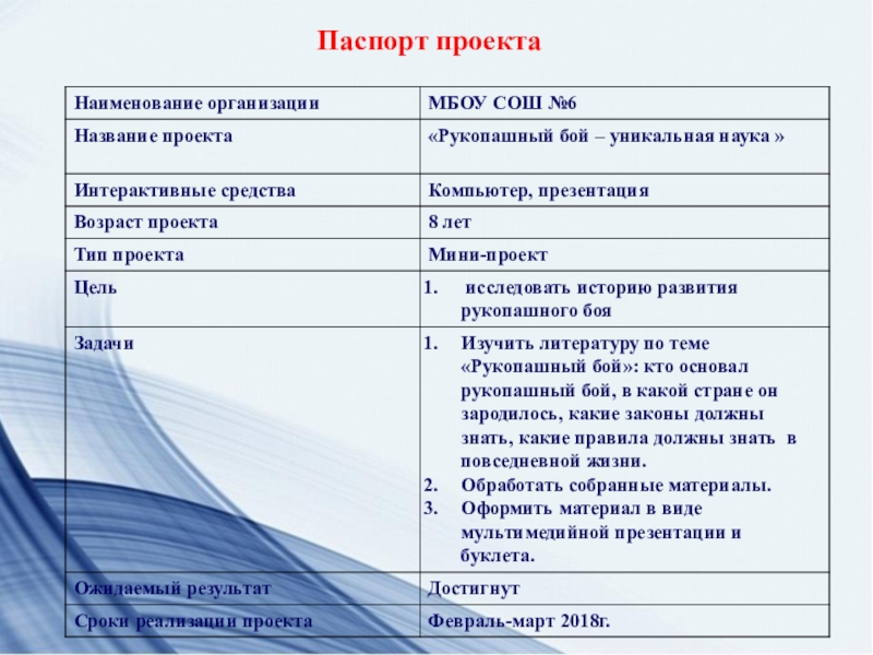 Паспорт проекта это определение