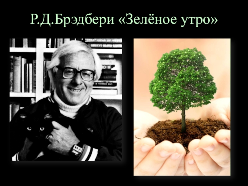 Рассказ зеленое утро. Зелёное утро Брэдбери. Р Брэдбери зеленое утро. Зелёное утро Брэдбери иллюстрации. Рэй Брэдбери зеленое утро иллюстрацию.