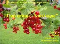 Сир отоно - хаптаҕас