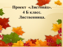 Презентация по проектной деятельности на тему Листопад ( 4 класс 8 вид)