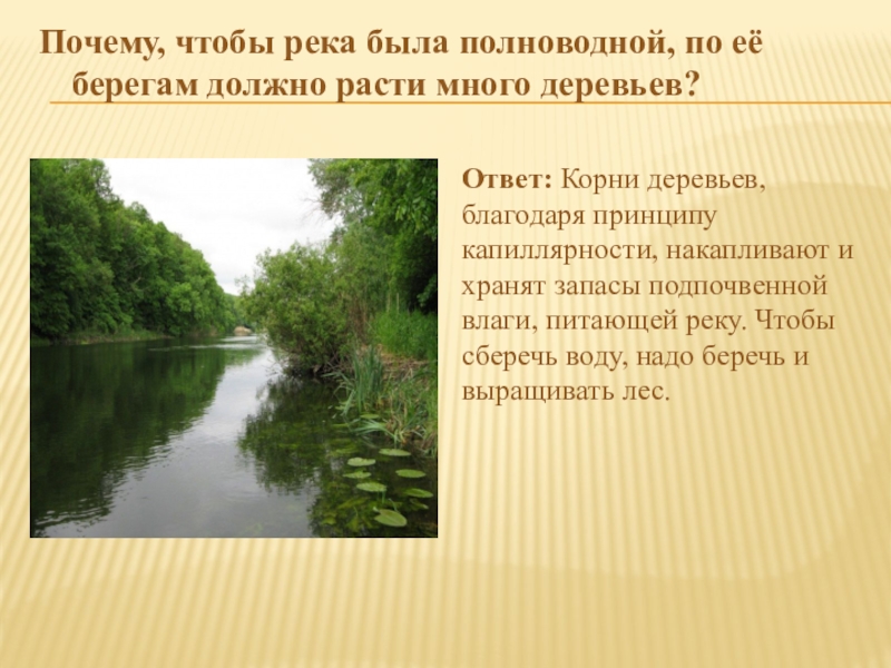 Зачем реки. Причины полноводности рек. Полноводность реки это. Влияние лесов на полноводность рек. От чего зависит полноводность рек.