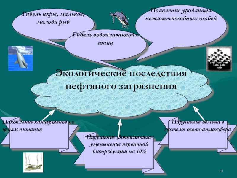 Презентация по химии на тему природные источники углеводородов