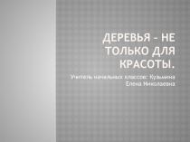 Презентация по внеурочной деятельности Дорога добра на тему Деревья-не только для красоты.