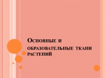 Презентация по биологии Основные и образовательные ткани растений