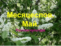 Презентация к занятию кружка Русская традиционная культура по теме Месяцеслов. Май (2 класс)