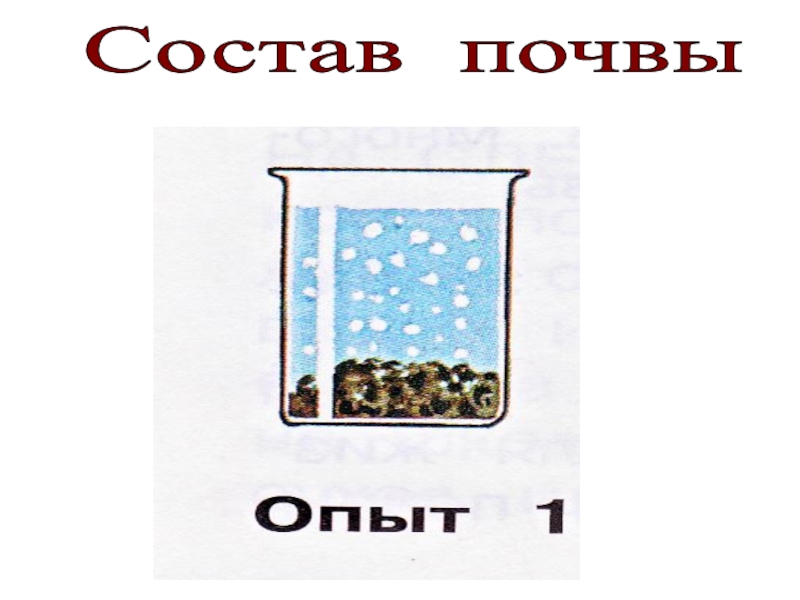 В почве есть ответ. Опыт в почве есть воздух. Опыты с почвой картинки. В почве есть воздух рисунок. Опыты с почвой в подготовительной группе.