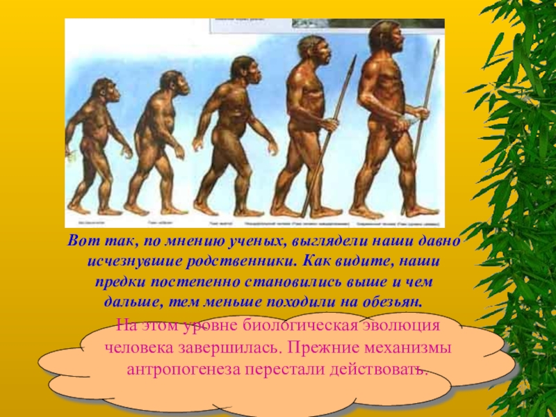 Почему по мнению ученых. Происхождение человека. Как выглядели предки человека. Появление человека. История развития человека на земле.
