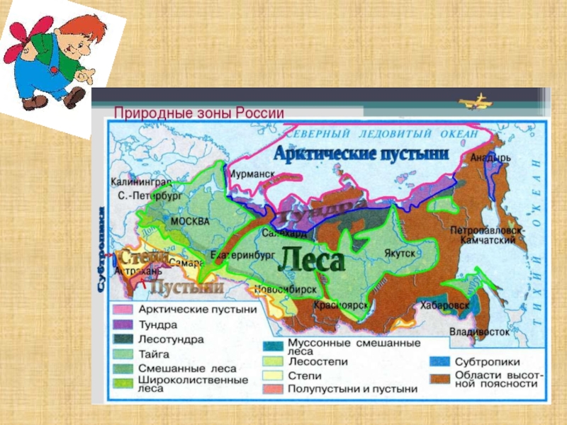 Сопоставьте карту природных зон россии