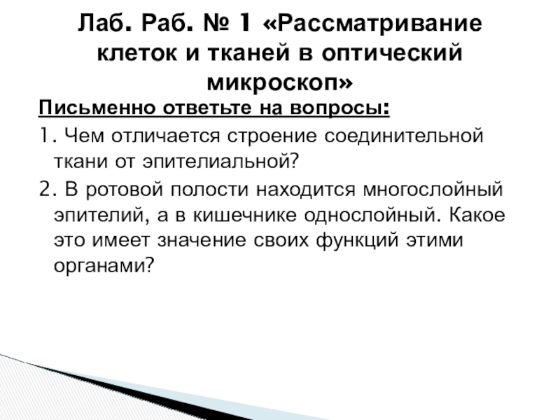 Слайд презентации это многослойная структура да нет предыдущий вопрос