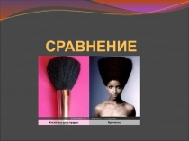 Презентация по литературе на тему Сравнение