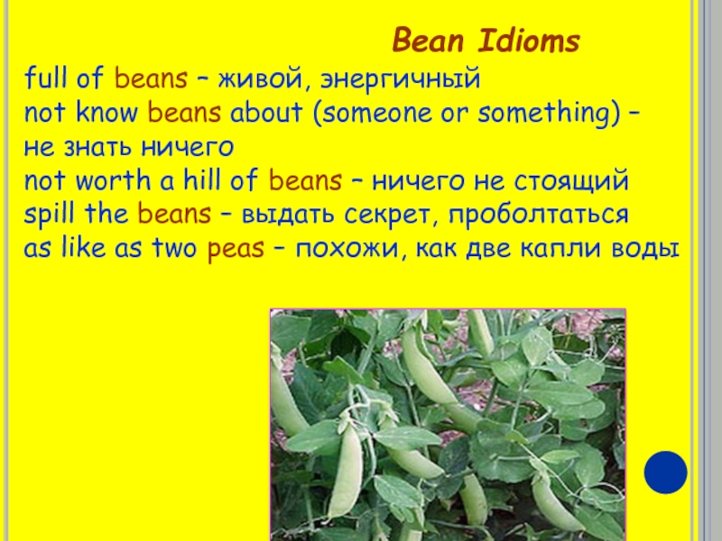 Bean Idioms full of beans – живой, энергичныйnot know beans about (someone or something) – не знать