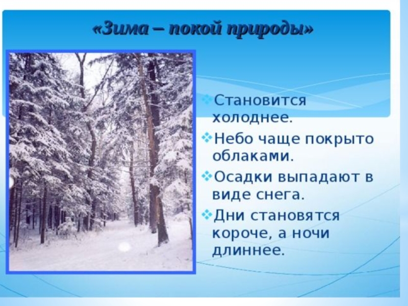 Дни становятся холоднее. Зима покой природы. Зима в мире растений 2. Зима покой природы окружающий мир. Какие осадки выпадают зимой.