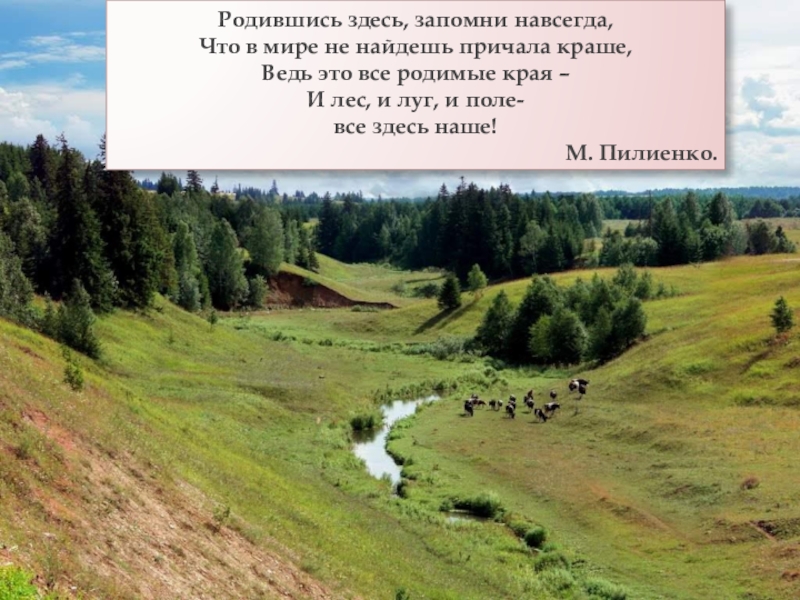 Презентация на тему экология родного края