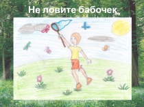 Проект по окружающему миру: Берегите лес!