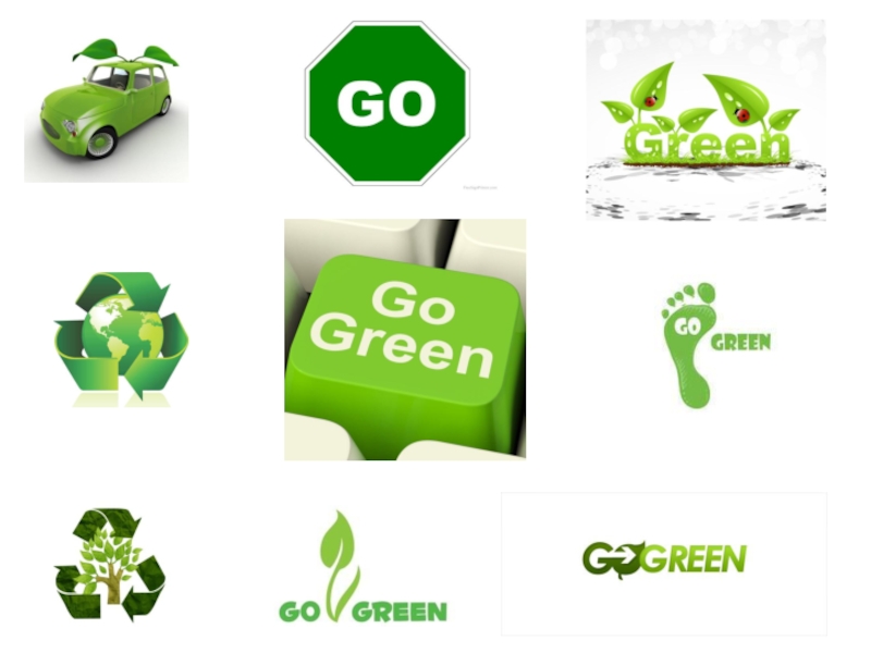 Green been. Картинки Green Citizen. Are you a Green Citizen. Are you Green Citizen 11 класс. Be a Green Citizen.