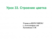 Презентация по ботанике и физиологии растений по теме Цветок (1 курс)