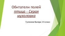Презентация по окружающему миру на тему: Обитатели поля. Серая мухоловка. (2 класс)