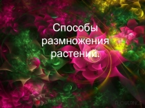 Презентация по биологии на тему: Способы размножения растений