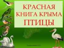 Презентация по Окружающему миру Красная книга Крыма-птицы