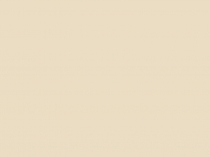 Презентация к уроку Да, наша жизнь текла мятежно, полна тревог, полна утрат… Панаевский цикл Н. А. Некрасова.