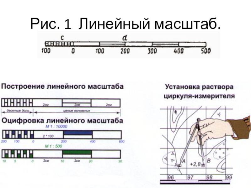 Масштабная линейка чертежи