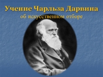 Презентация по биологии 9 класс по теме  Учение Ч.Дарвина об искусственном отборе
