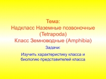 Презентация по теме:Класс Земноводные
