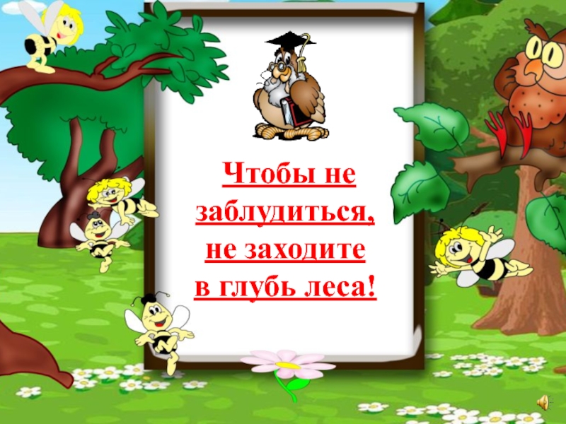 Мы вступаем в глубь леса. Не заблудиться в лесу. Зайти вглубь леса. Мы зашли в глубь леса и заблудились. Лес сколько в нем живет чудес вторая младшая презентация.