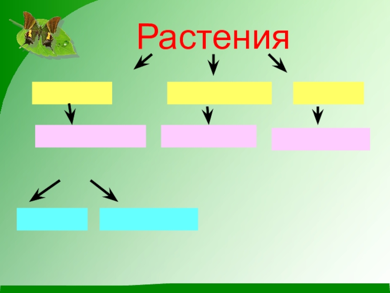 Технологическая карта урока 3 класс разнообразие растений