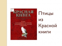 Презентация по биологии на тему Птицы из Красной книги