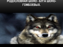 ПрезентацияМоя родословная. Буга Шоно , семья Гомбоевых