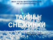 Презентация к проекту Тайны Снежинки